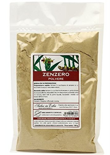 Zenzero - Rizoma in Polvere - 100 g