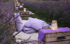 Giornata della lavanda - Merenda Sinoira in viola