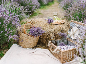 Giornata della lavanda - Pic-nic in viola